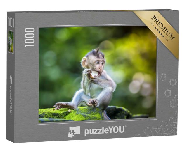 Puzzle 1000 Teile „Kleiner Baby-Affe im Affenwald von Ubud, Bali, Indonesien“
