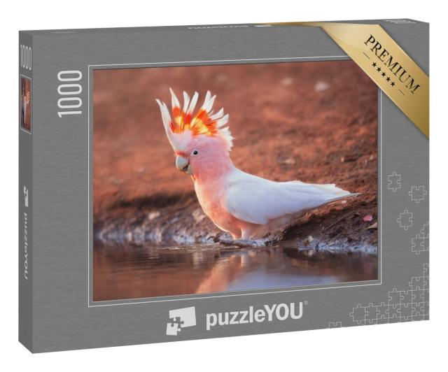 Puzzle 1000 Teile „Wilder Rosakakadu“