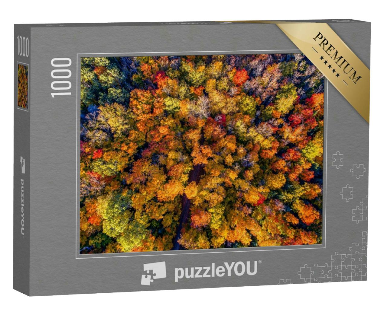 Puzzle 1000 Teile „Wunderschöner Herbstwald aus der Vogelperspektive“