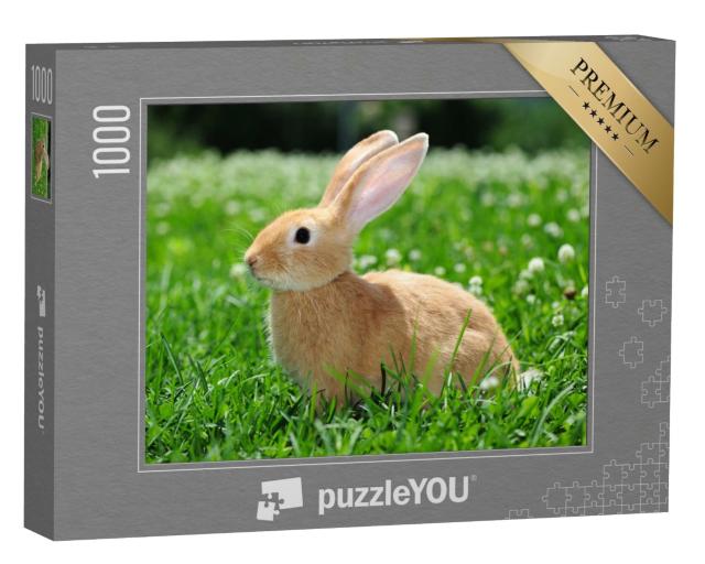 Puzzle 1000 Teile „Kaninchen in der Natur“