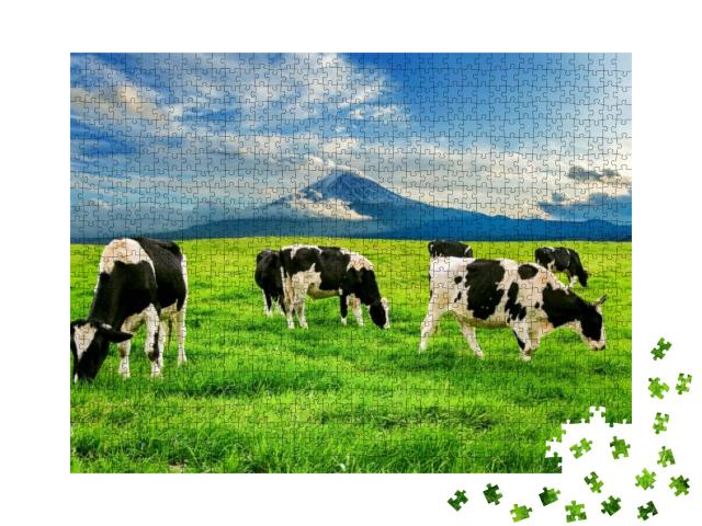 Puzzle 1000 Teile „Kühe fressen saftiges Gras auf einer grünen Wiese vor dem Fuji in Japan“