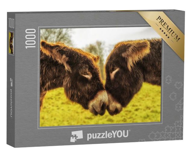 Puzzle 1000 Teile „Eselspaar schaut sich in die Augen“