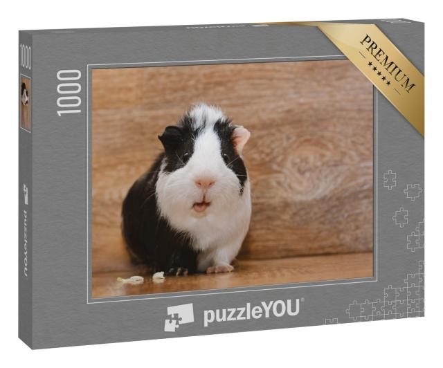 Puzzle 1000 Teile „Niedliches schwarz-weißes Meerschweinchen beim Verzehren von Kohlblättern“
