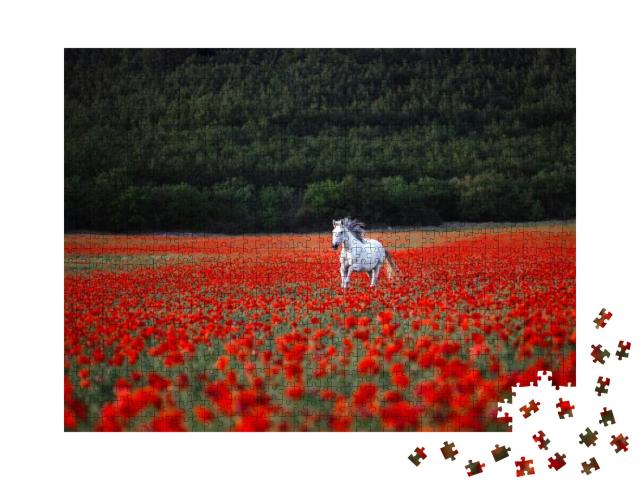 Puzzle 1000 Teile „Ein weißes Pferd galoppiert über ein rotes Mohnfeld“