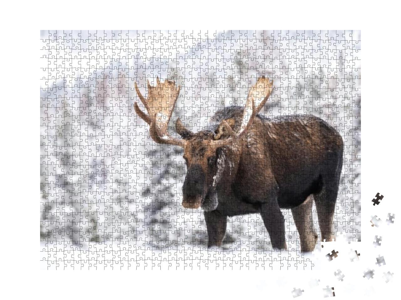 Puzzle 1000 Teile „Elch im Schnee in Jasper, Kanada“