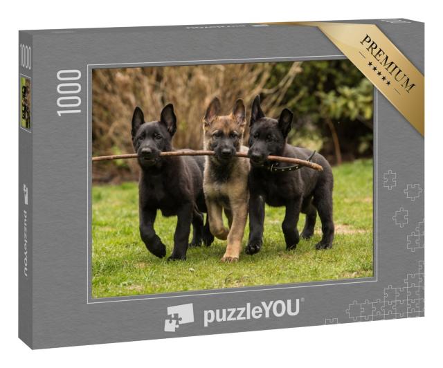 Puzzle 1000 Teile „Drei Schäferhundwelpen bringen einen Stock“