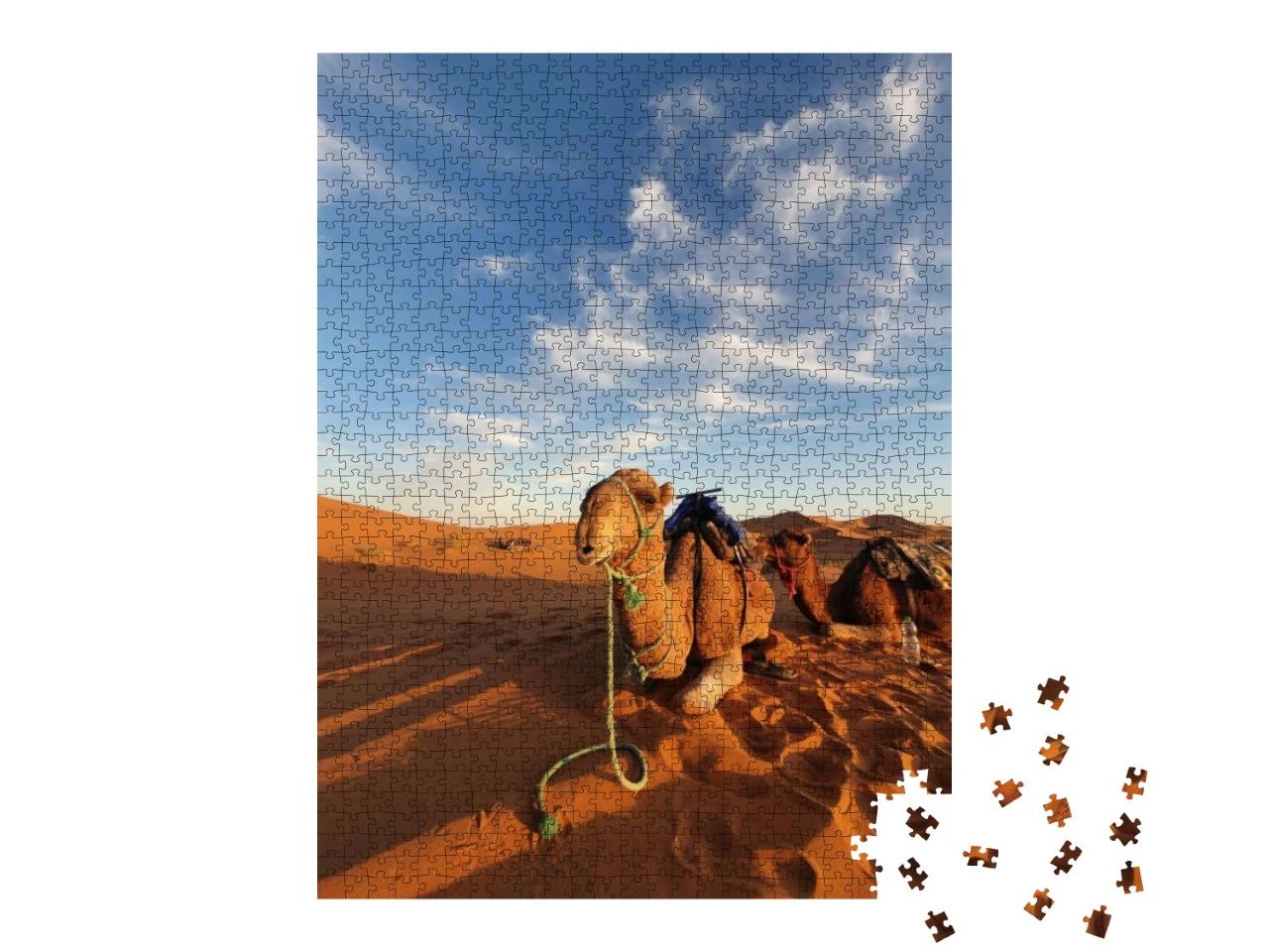 Puzzle 1000 Teile „Kamel in der Sahara-Wüste Marokkos“