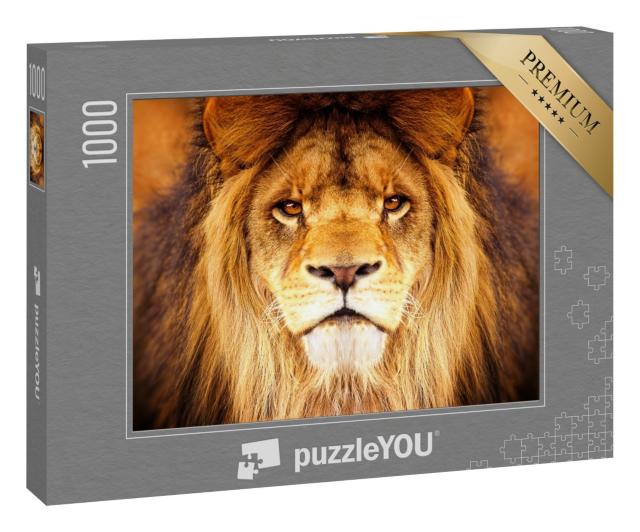 Puzzle 1000 Teile „Auge in Auge mit einem Löwen“