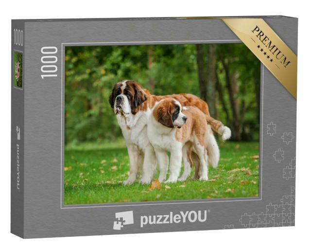 Puzzle 1000 Teile „Zwei Bernhardiner auf dem Rasen“