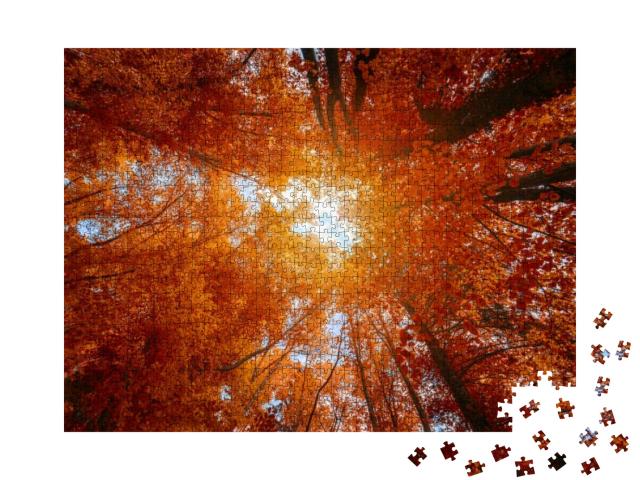 Puzzle 1000 Teile „Bunte Baumkronen im Herbstwald“