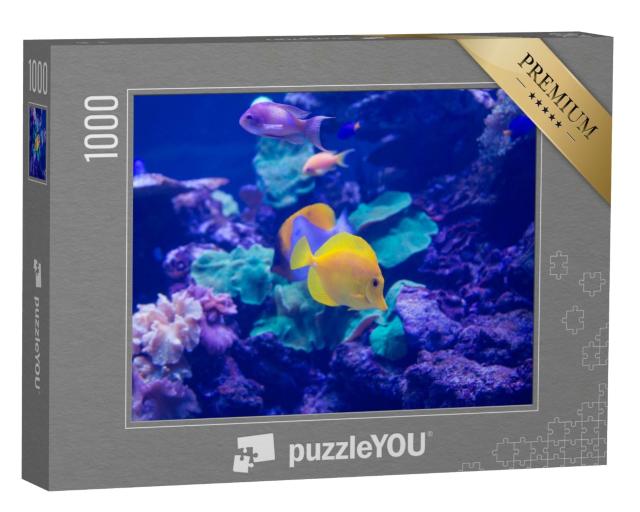 Puzzle 1000 Teile „Meeresfische schwimmen im Aquarium“