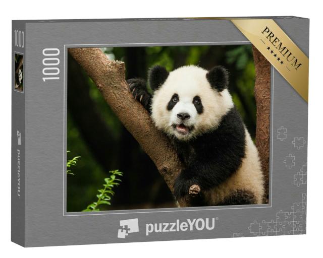 Puzzle 1000 Teile „Panda in seinem natürlichen Lebensraum“