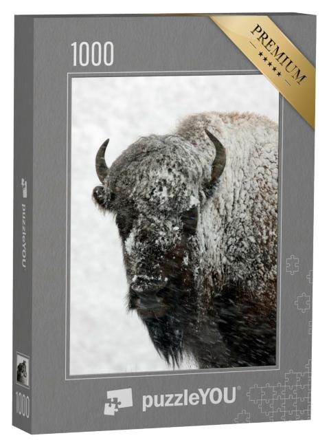 Puzzle 1000 Teile „Bison im Schnee, Yellowstone-Nationalpark“