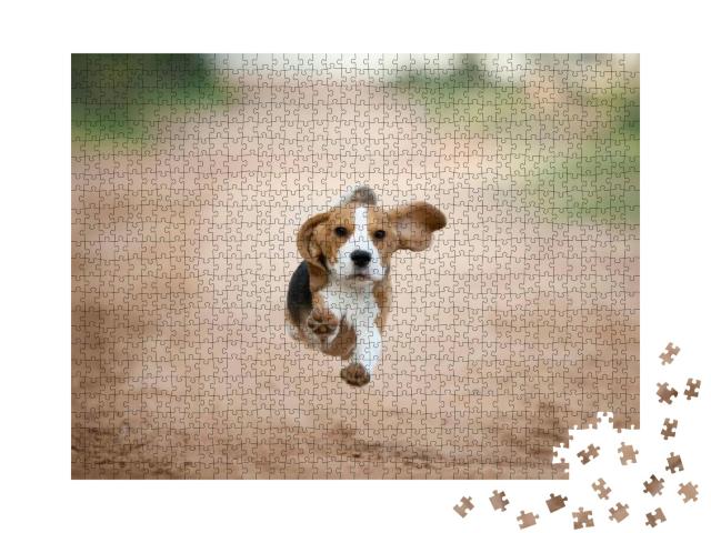 Puzzle 1000 Teile „Ein Beagle-Welpe im Hinterhof“