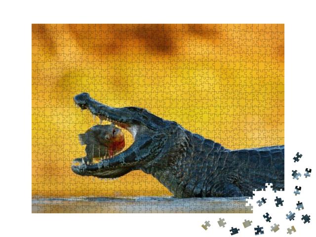 Puzzle 1000 Teile „Kaiman auf der Jagd“