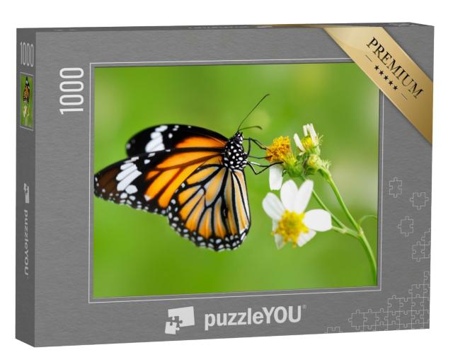 Puzzle 1000 Teile „Schmetterling der Gattung Gewöhnlicher Tigerfalter auf einer Blüte“