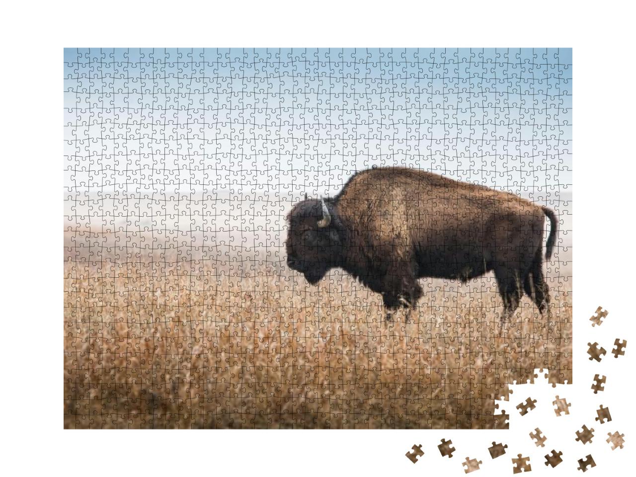 Puzzle 1000 Teile „Amerikanischer Bison, Büffel “
