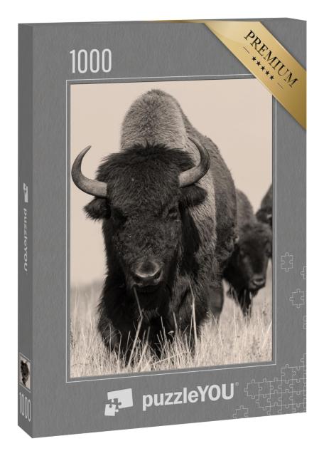 Puzzle 1000 Teile „Amerikanischer Bison oder Büffel “