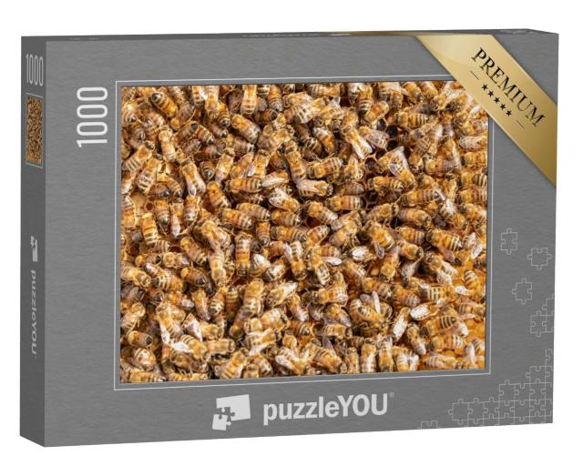 Puzzle 1000 Teile „Arbeitshonigbienen auf einem Rahmen aus einem Bienenstock“