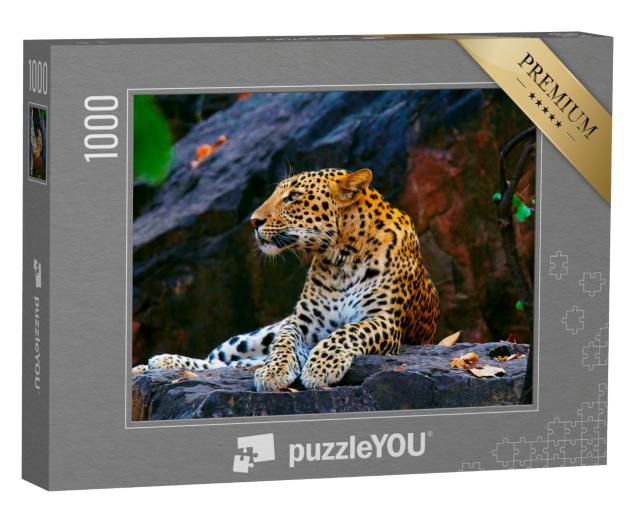 Puzzle 1000 Teile „Indischer Leopard, Panthera pardus fusca, Ranthambhore Tiger Reserve, Rajasthan“