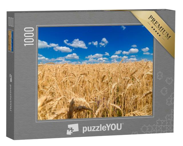 Puzzle 1000 Teile „Goldenes Weizenfeld unter strahlend blauem Himmel“