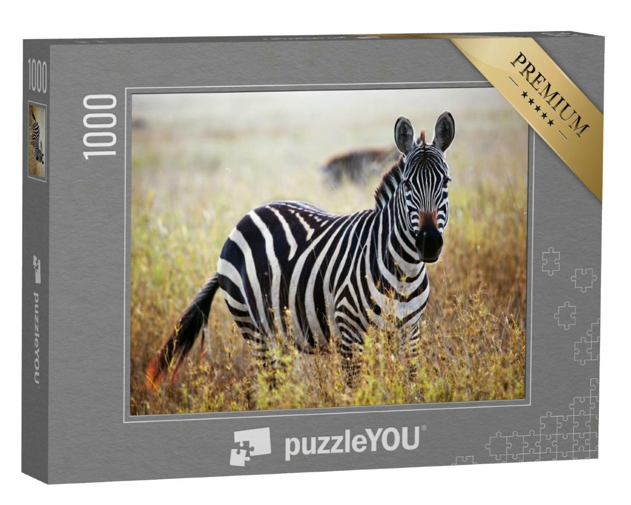 Puzzle 1000 Teile „Zebra-Porträt aus der afrikanischen Savanne, Serengeti, Tansania“
