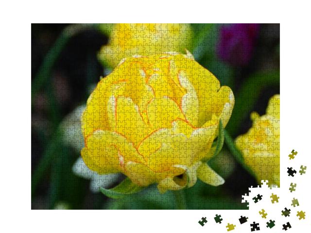 Puzzle 1000 Teile „Nahaufnahme einer gelben Tulpe“