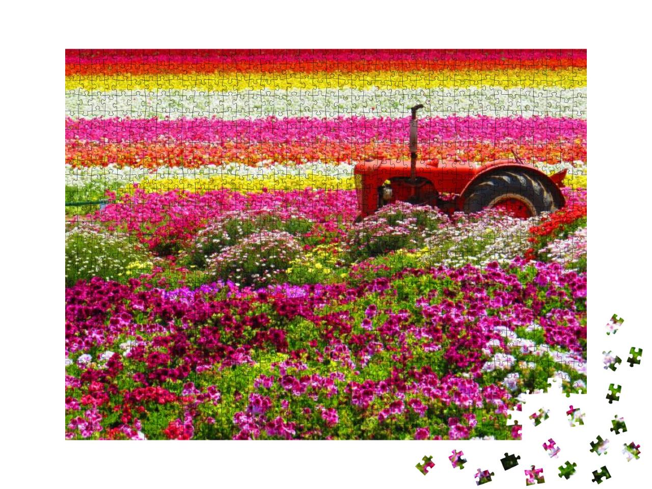 Puzzle 1000 Teile „Traktor in der Mitte der Carlsbad Flower Fields“