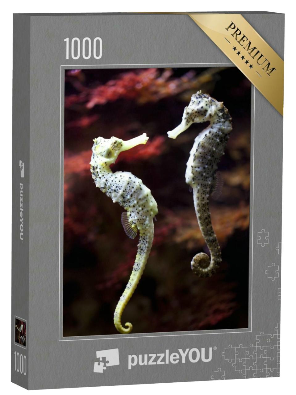 Puzzle 1000 Teile „Verliebtes Langschnauzen-Seepferdchen-Paar“
