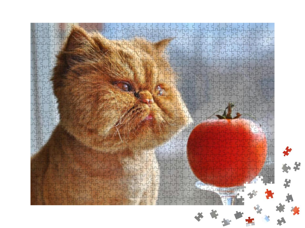 Puzzle 1000 Teile „Lustige Katze und rote Tomate“
