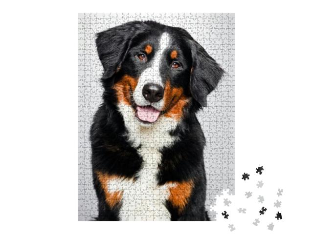 Puzzle 1000 Teile „Porträt eines Berner Sennenhunds“