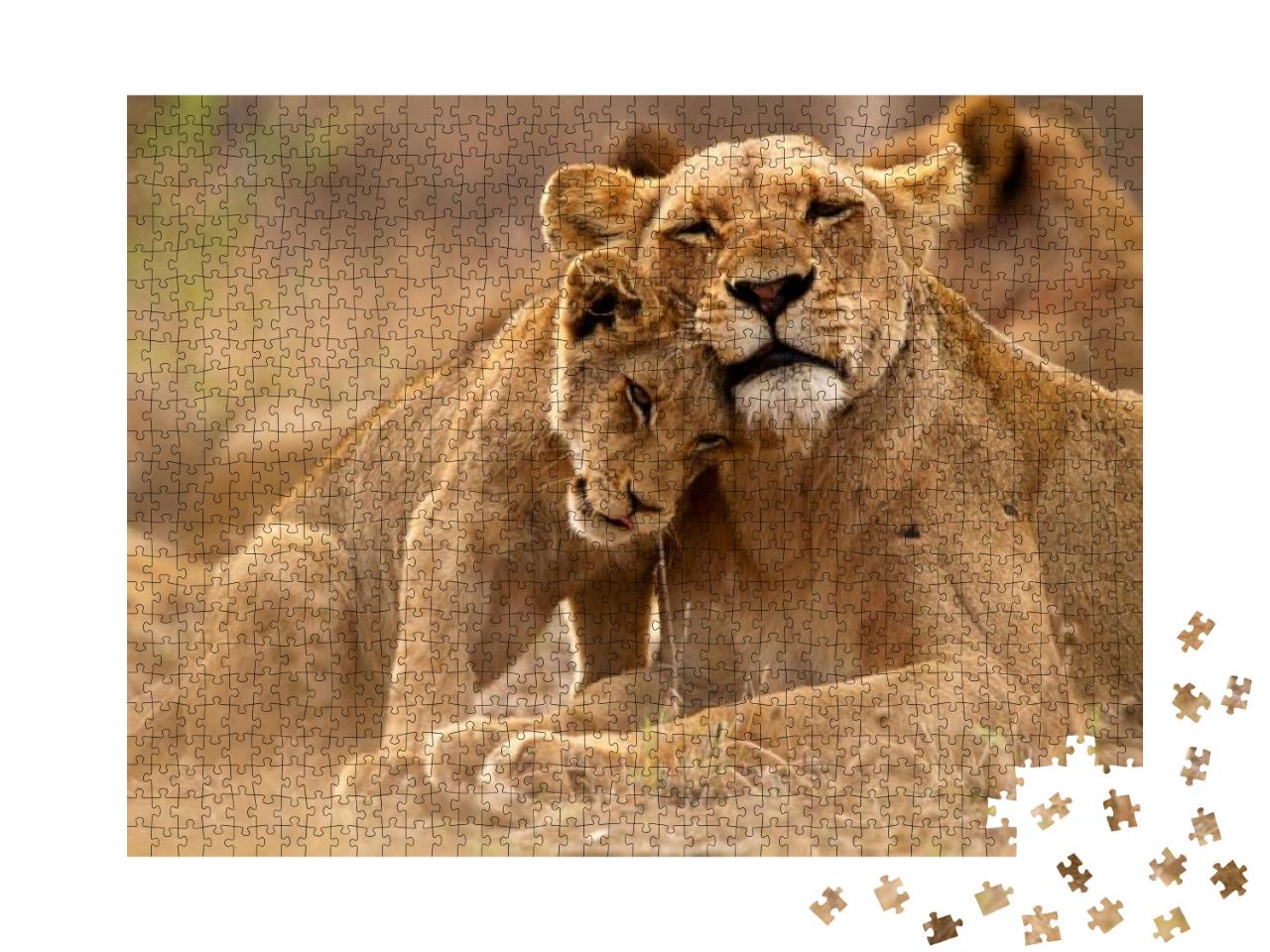 Puzzle 1000 Teile „Löwin und Jungtier im Kruger National Park, Südafrika“