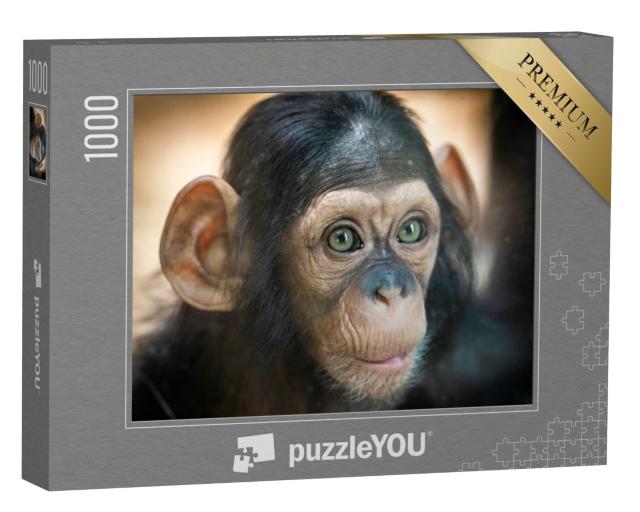Puzzle 1000 Teile „Porträt eines Schimpansenbabys in Pilsen, Tschechische Republik“