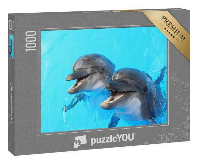 Puzzle 1000 Teile „Zwei Delfine schwimmen im Pool“
