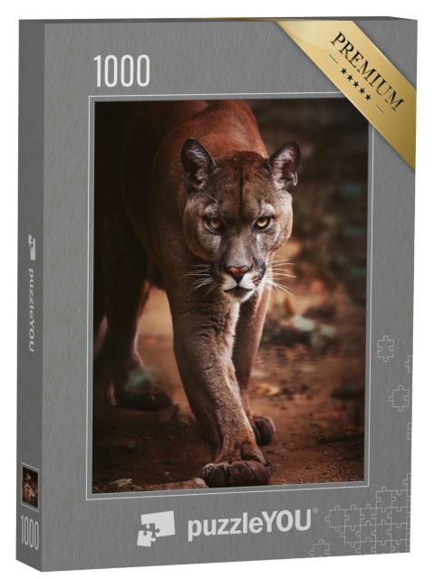 Puzzle 1000 Teile „Ein Puma schleicht sich an“