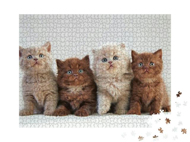Puzzle 1000 Teile „Vier britische Kätzchen, bunte Farben“