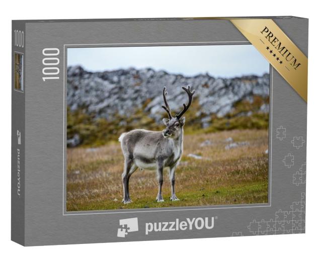 Puzzle 1000 Teile „Rentier in seinem natürlichen Lebensraum“