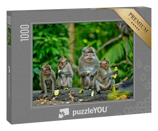 Puzzle 1000 Teile „Erwachsene Affen essen Bananen, Bali“