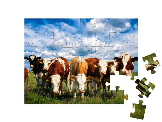 Puzzle 48 Teile „Kühe auf einer grünen Sommerwiese“