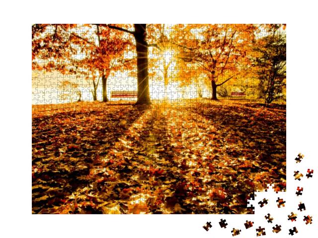 Puzzle 1000 Teile „Herbstbäume und Bank am Wasser in der Abendsonne“