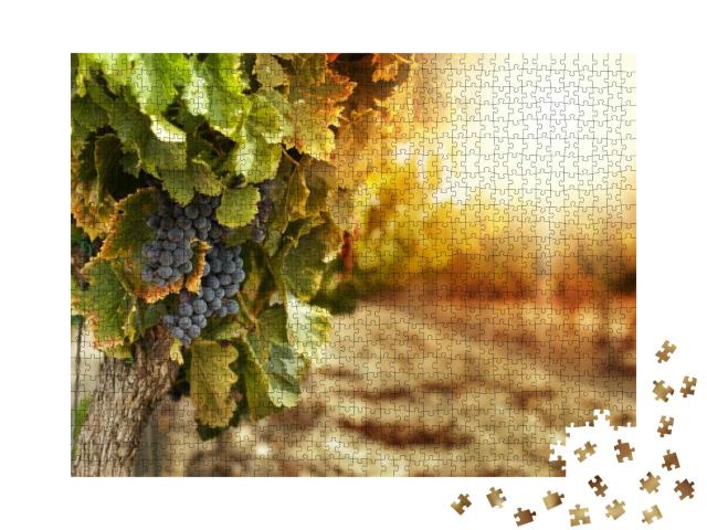 Puzzle 1000 Teile „Weinberge bei Sonnenuntergang in der Herbsternte “