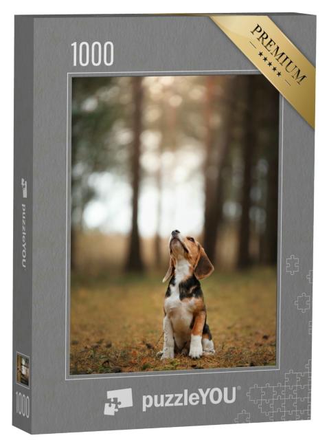 Puzzle 1000 Teile „Hund läuft durch die Natur, Beagle “
