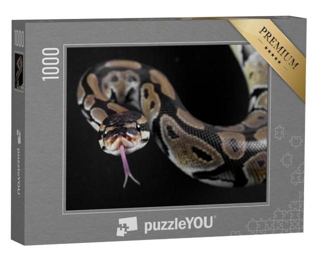 Puzzle 1000 Teile „Pythonschlange mit herausgestreckter Zunge“