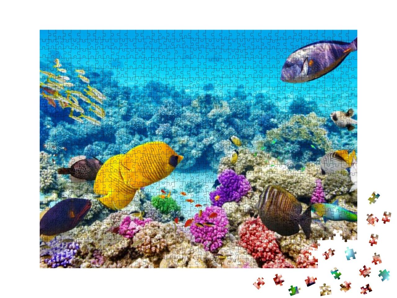 Puzzle 1000 Teile „Die Unterwasserwelt mit Korallen und tropischen Fischen“