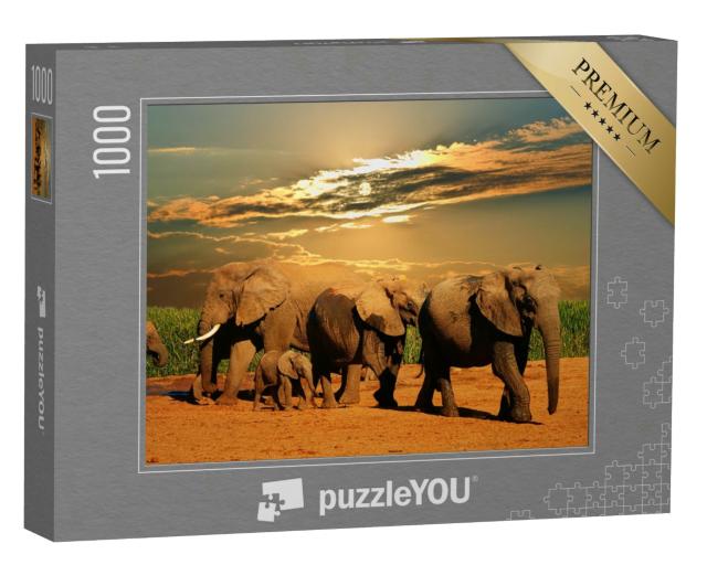 Puzzle 1000 Teile „Afrikanische Elefantenherde, Addo Elephant National Park, Südafrika“