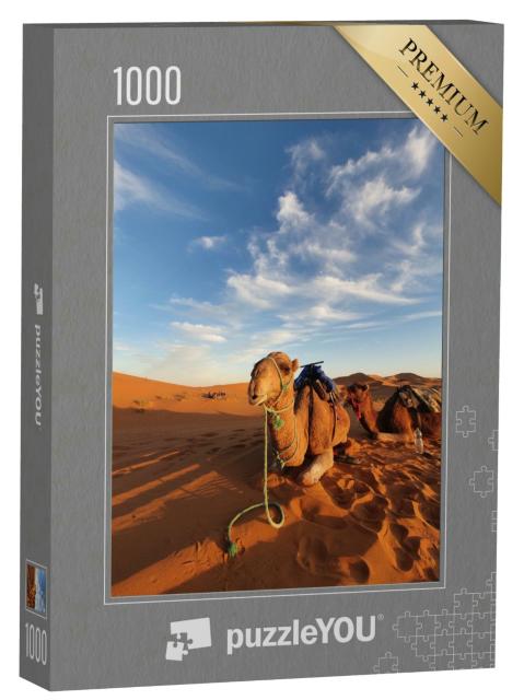Puzzle 1000 Teile „Kamel in der Sahara-Wüste Marokkos“