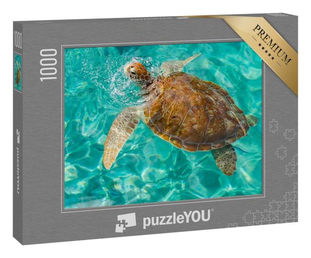 Puzzle 1000 Teile „Schildkröte in Westpunt, Karibikinsel Curacao“