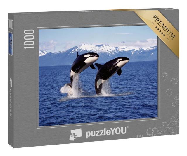 Puzzle 1000 Teile „Zwei Killerwale vor einer Berglandschaft“