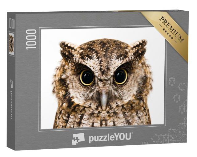 Puzzle 1000 Teile „Foto einer Eule, Makro-Aufnahme“
