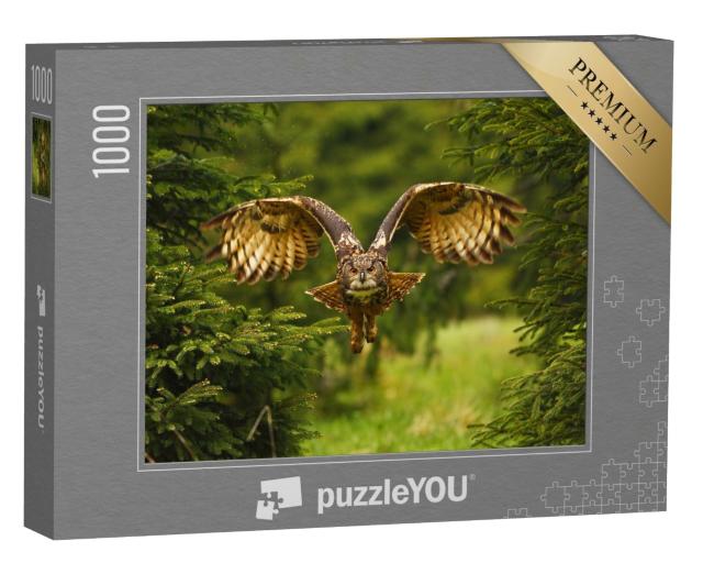 Puzzle 1000 Teile „Foto eines fliegenden Uhus“